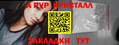 индика Лесосибирск
