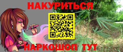 индика Лесосибирск