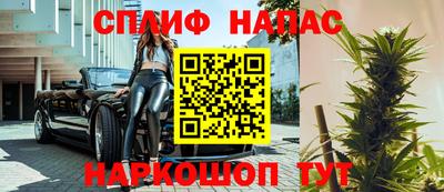 индика Лесосибирск